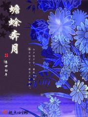 JAVAPARSER教师HD